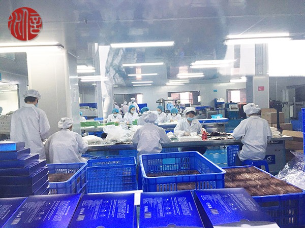 植物养发与养发馆产品线
