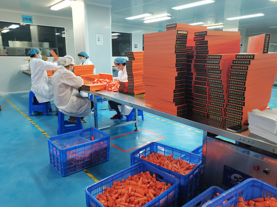 初创品牌首单